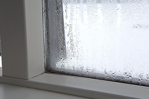 Condensation on your windows could mean the humidty in your home is too high. 