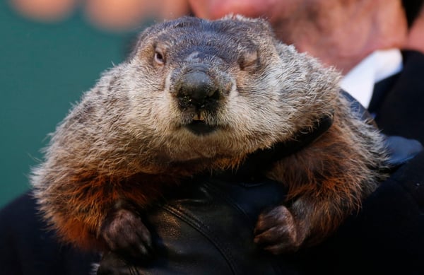 Punxsutawney Phil says an early Spring!