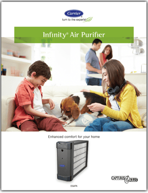 image-carrier-air-purifier-brochure-500x650px